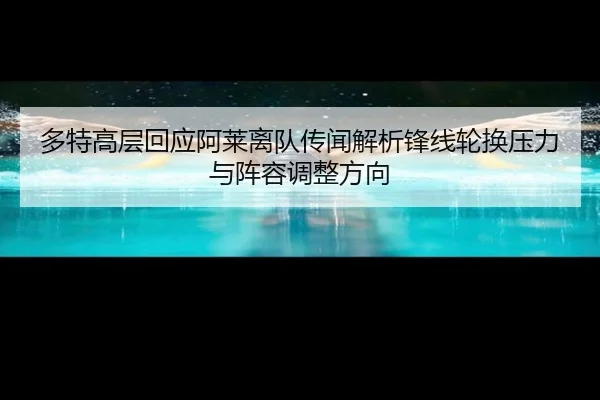 duo-te-gao-ceng-hui-ying-a-lai-li-dui-chuan-wen-jie-xi-feng-xian-lun-huan-ya-li-yu-zhen-rong-tiao-zheng-fang-xiang-3-518.jpg